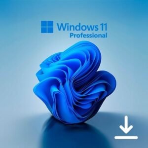 Microsoft Windows 11 Professional ESD